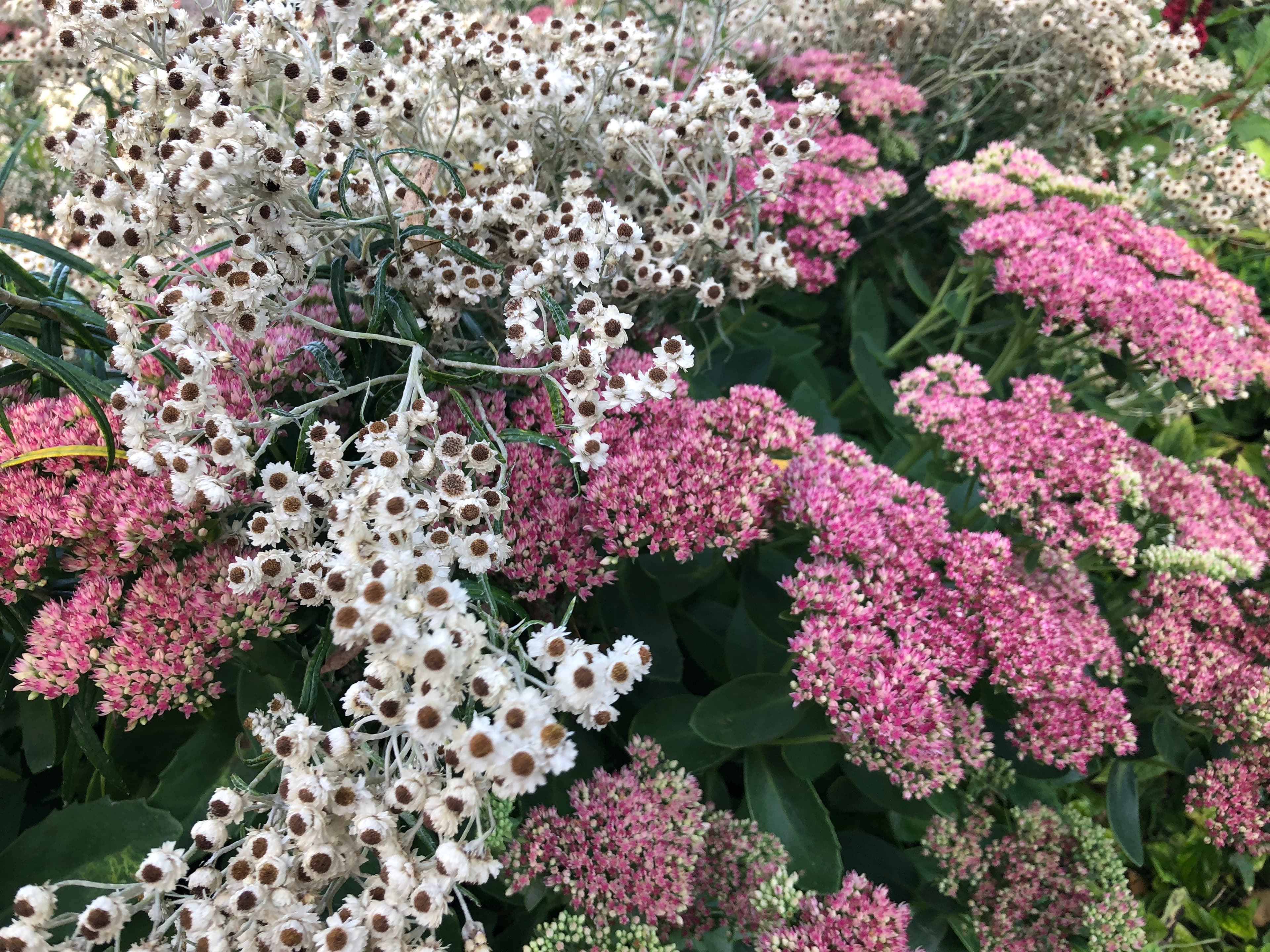 Stockholm, Sweden — August 2018