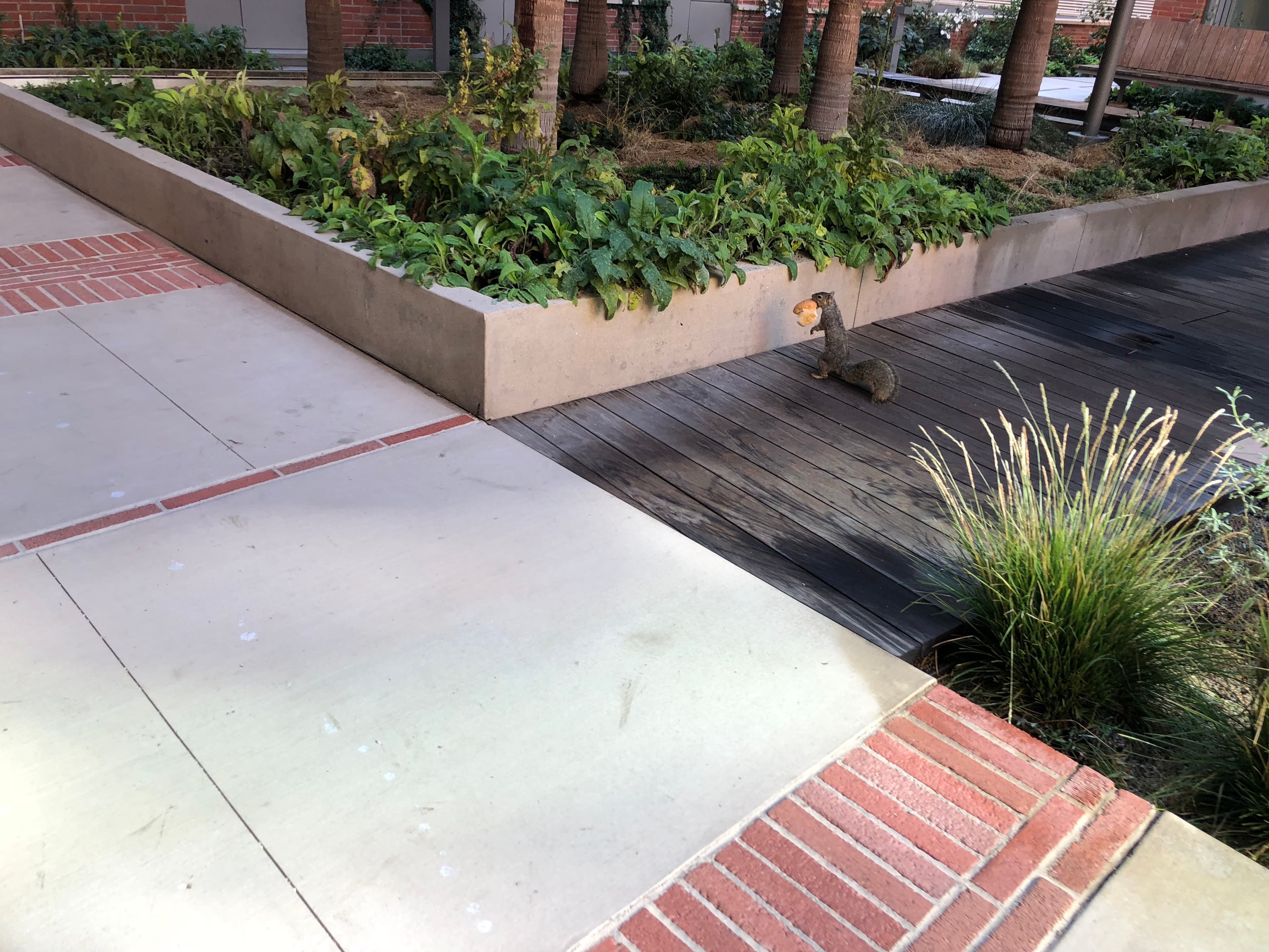 University of California, Los Angeles — May 2019