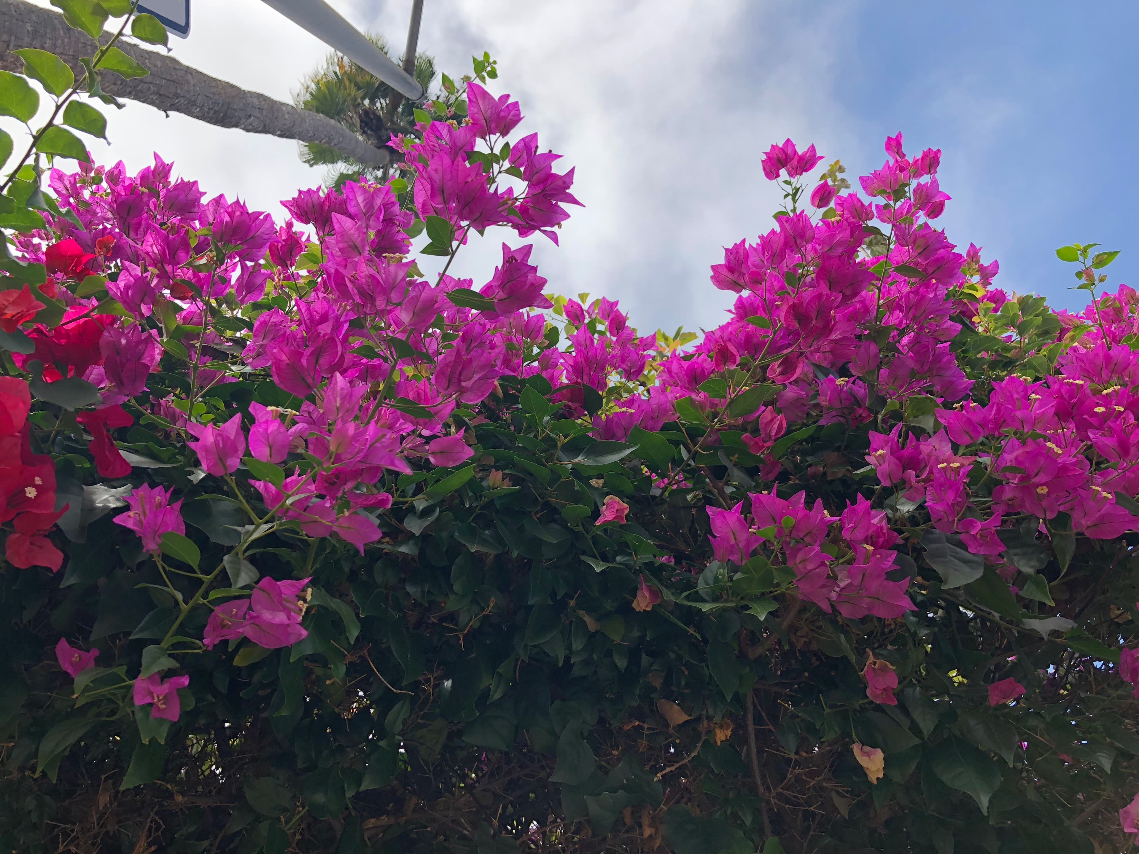 Culver City, California — July 2019