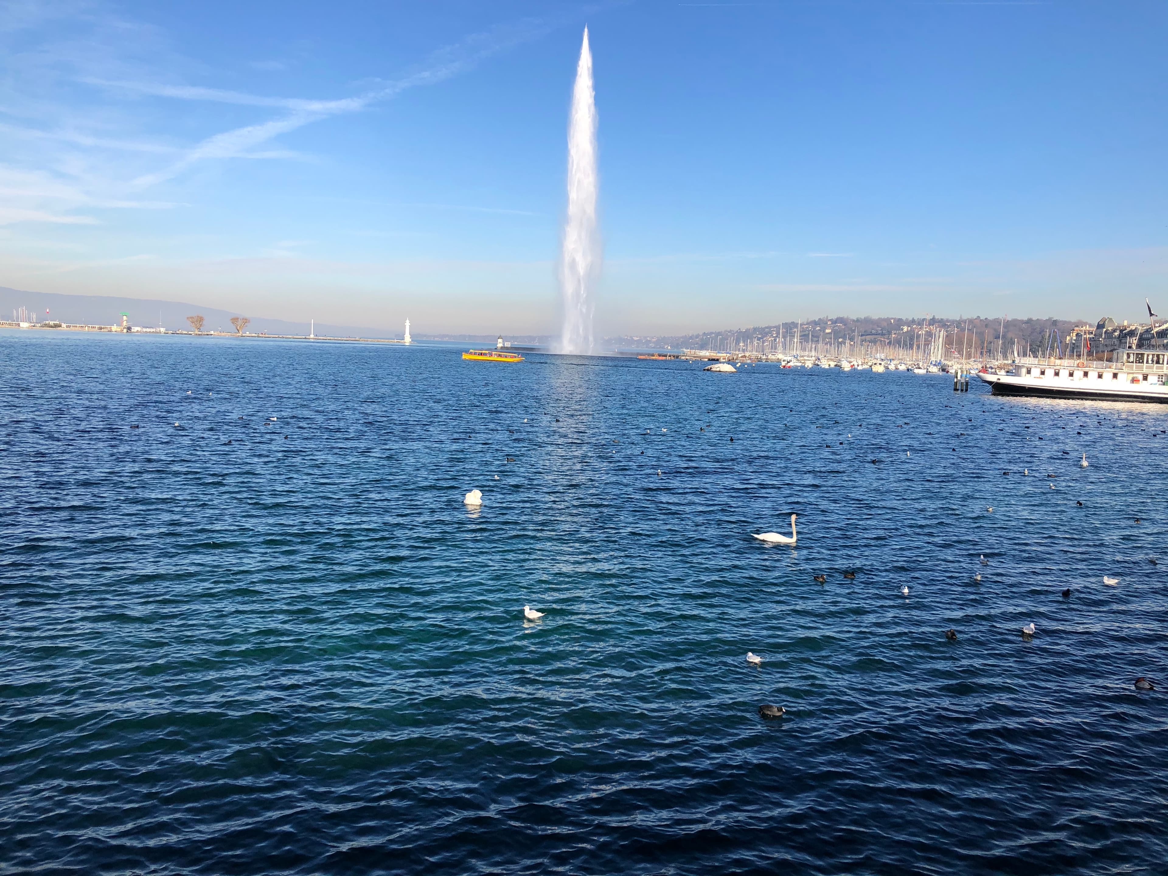 Geneva, Switzerland — January 2020