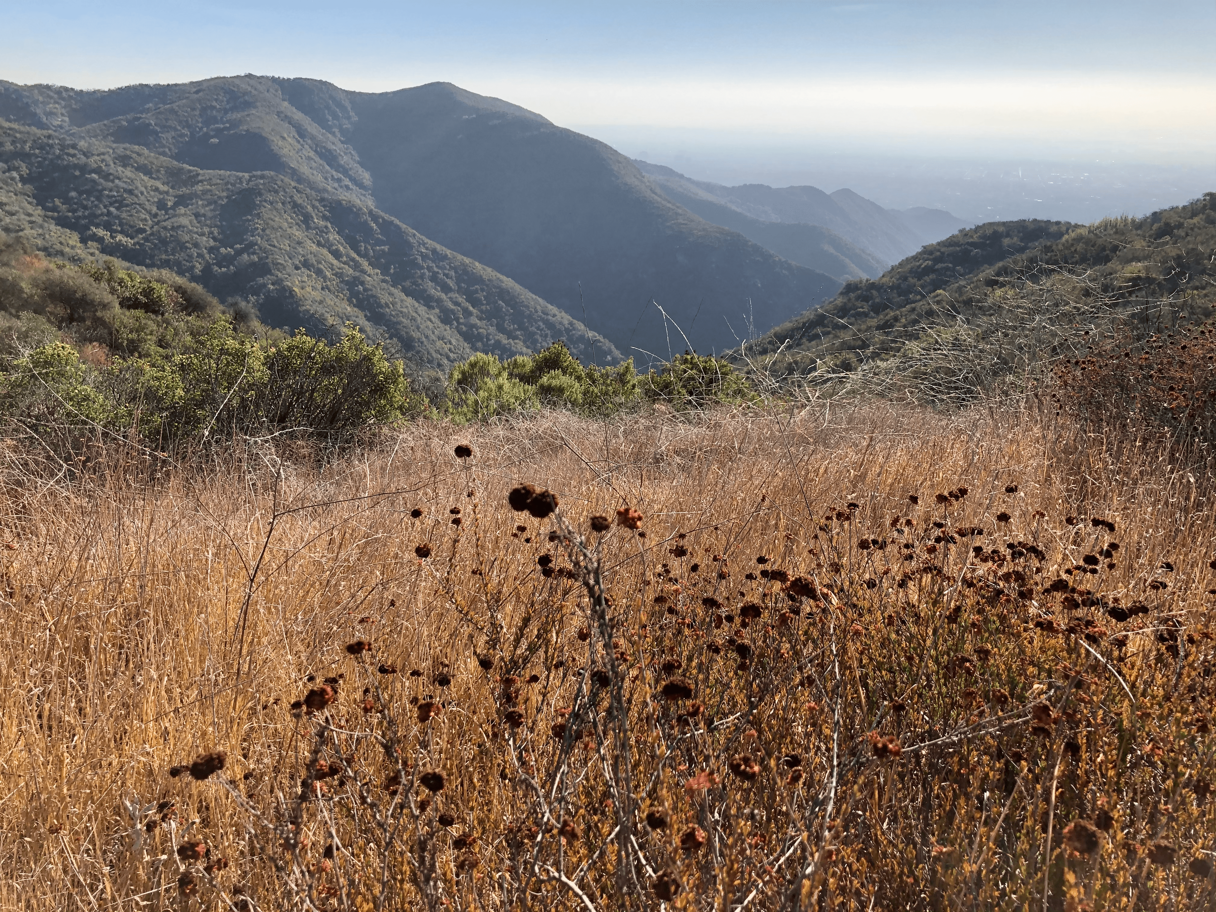 Topanga State Park, California — November 2020