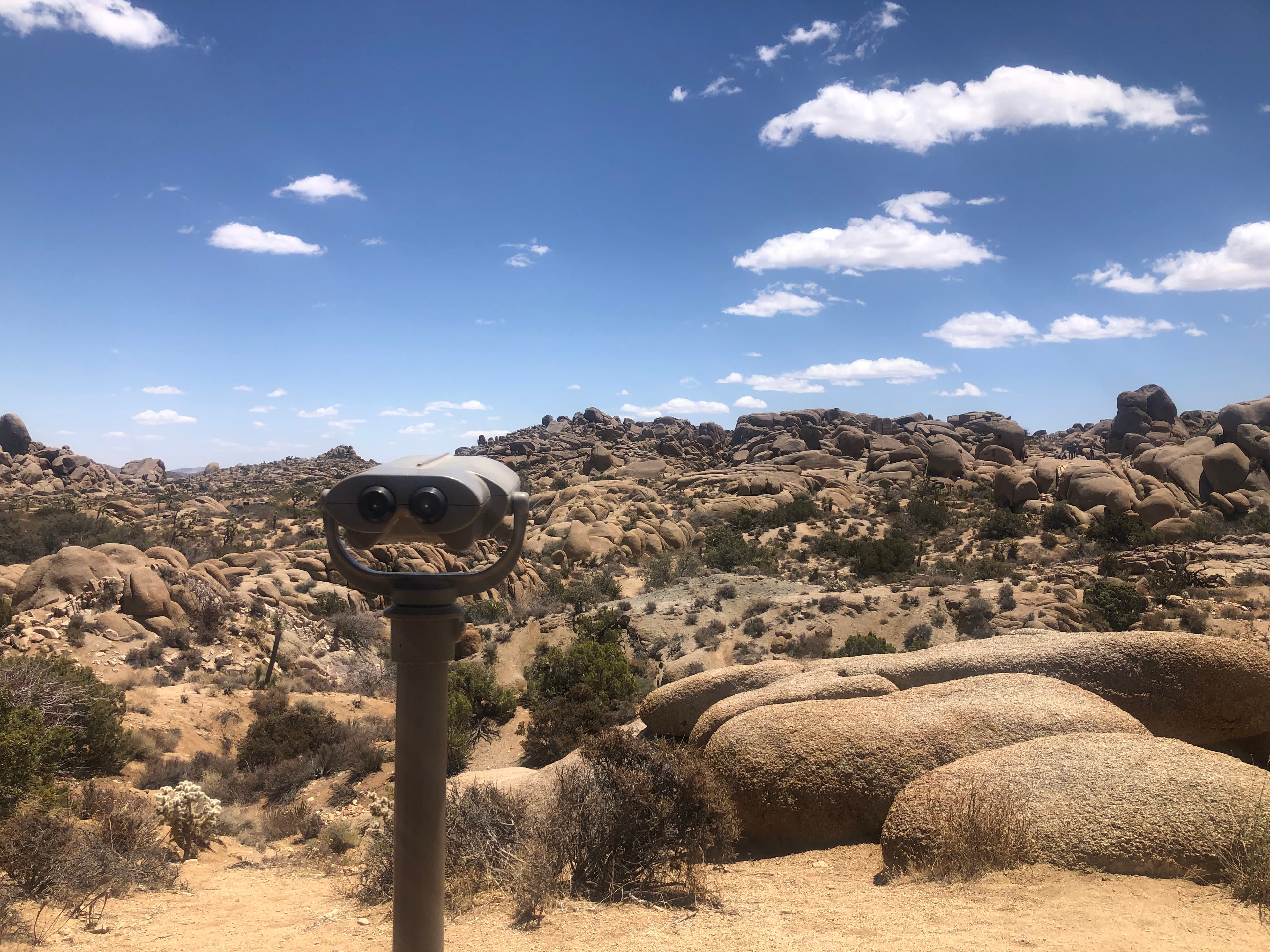 Joshua Tree National Park, California — May 2021