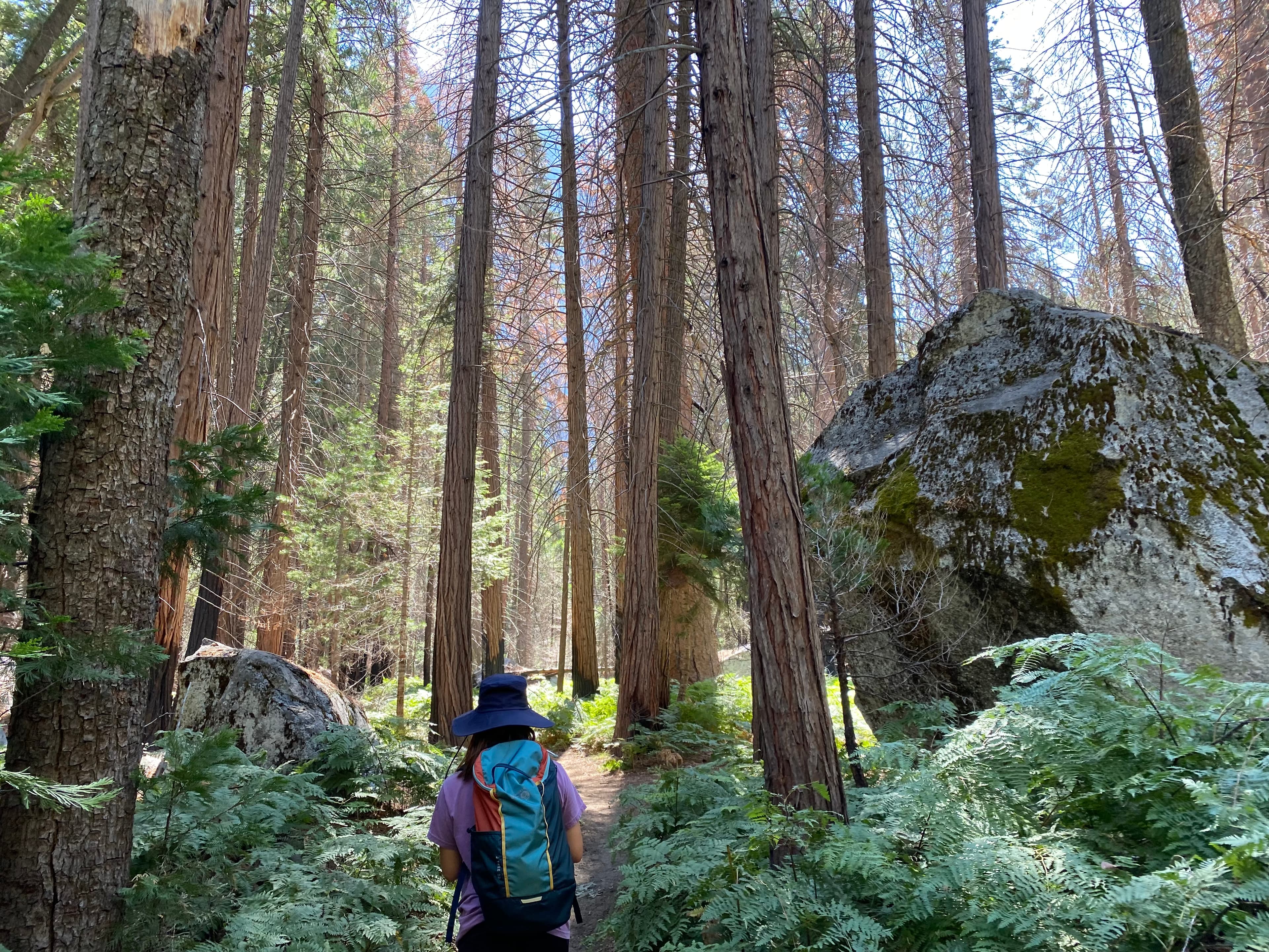 Kings Canyon National Park, California — July 2021