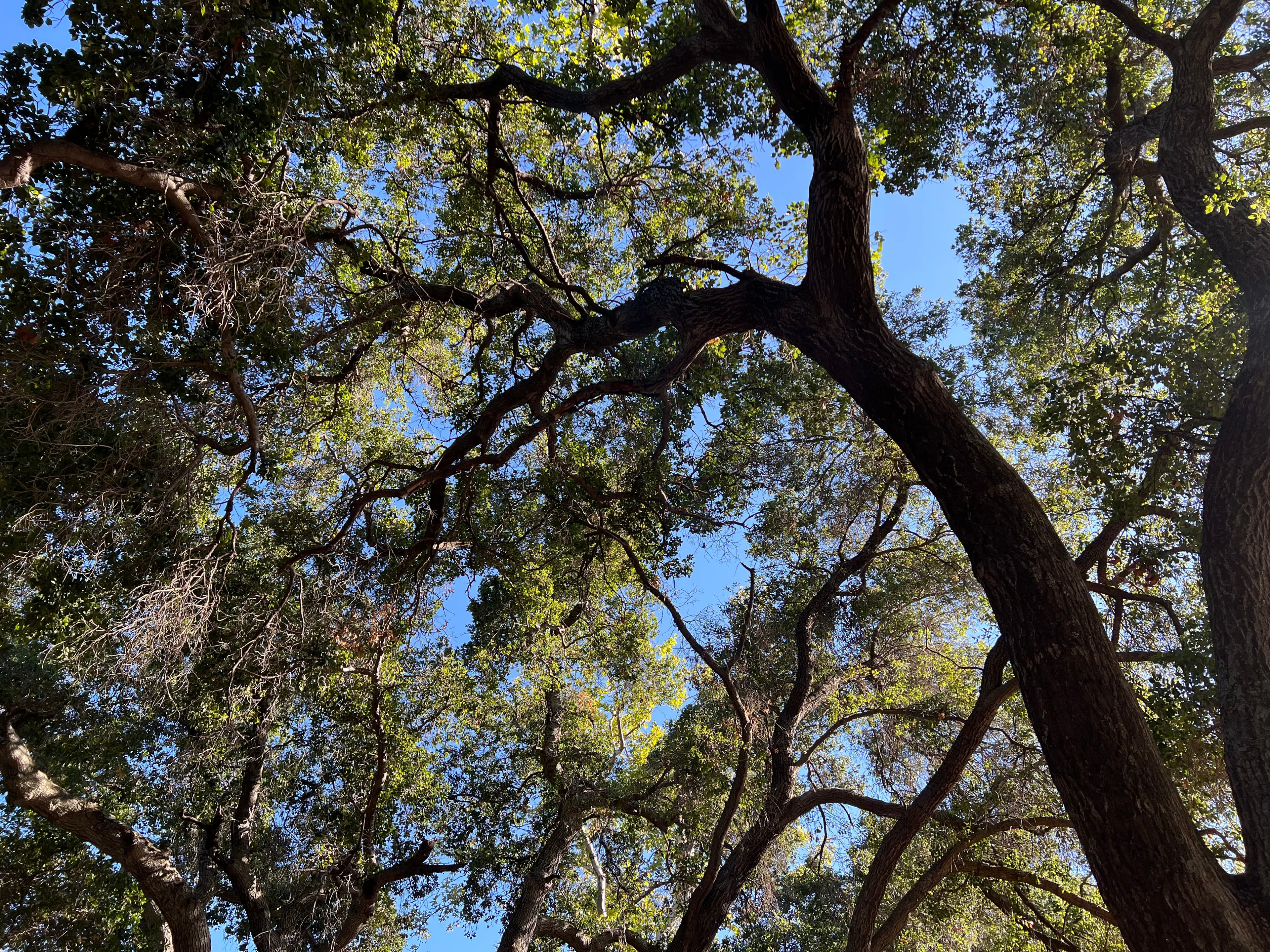 Ojai, California — April 2022