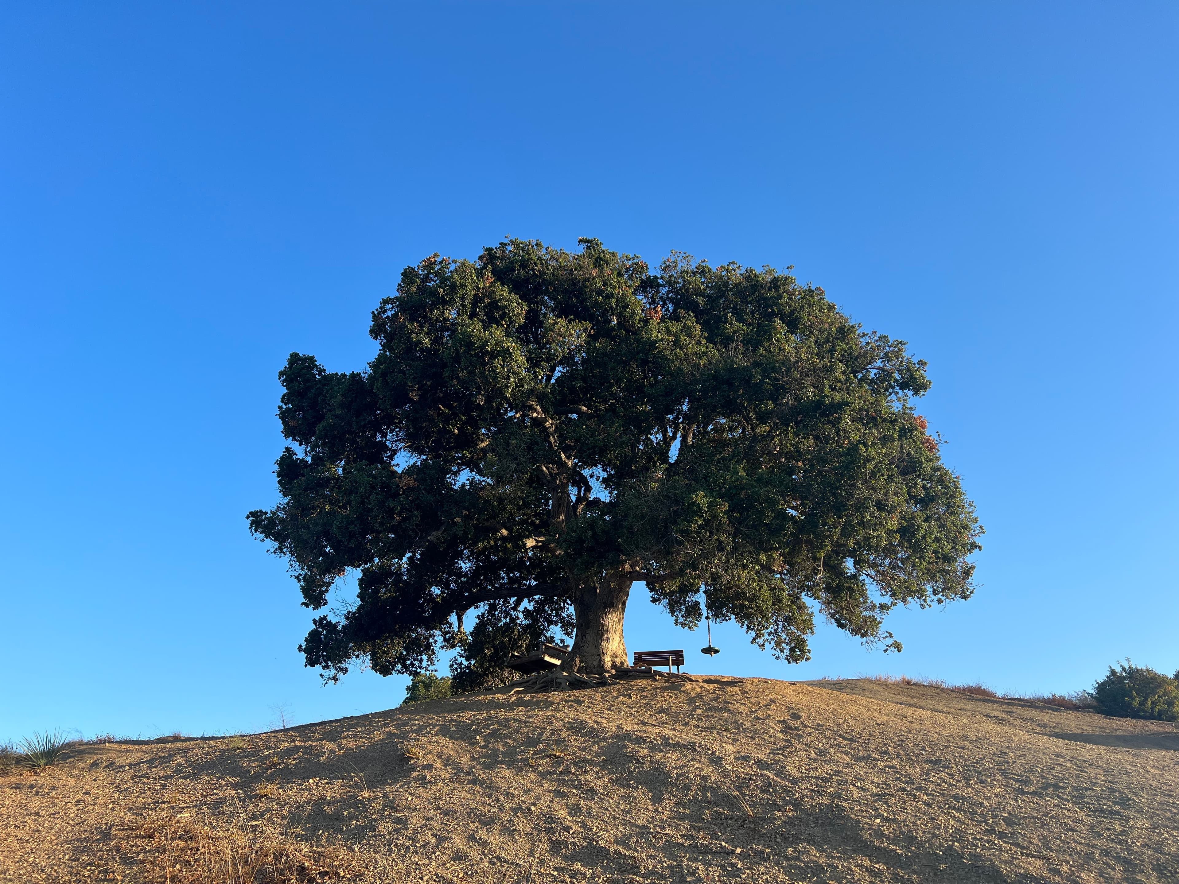 Kenter Trail. Brentwood, California — August 2022