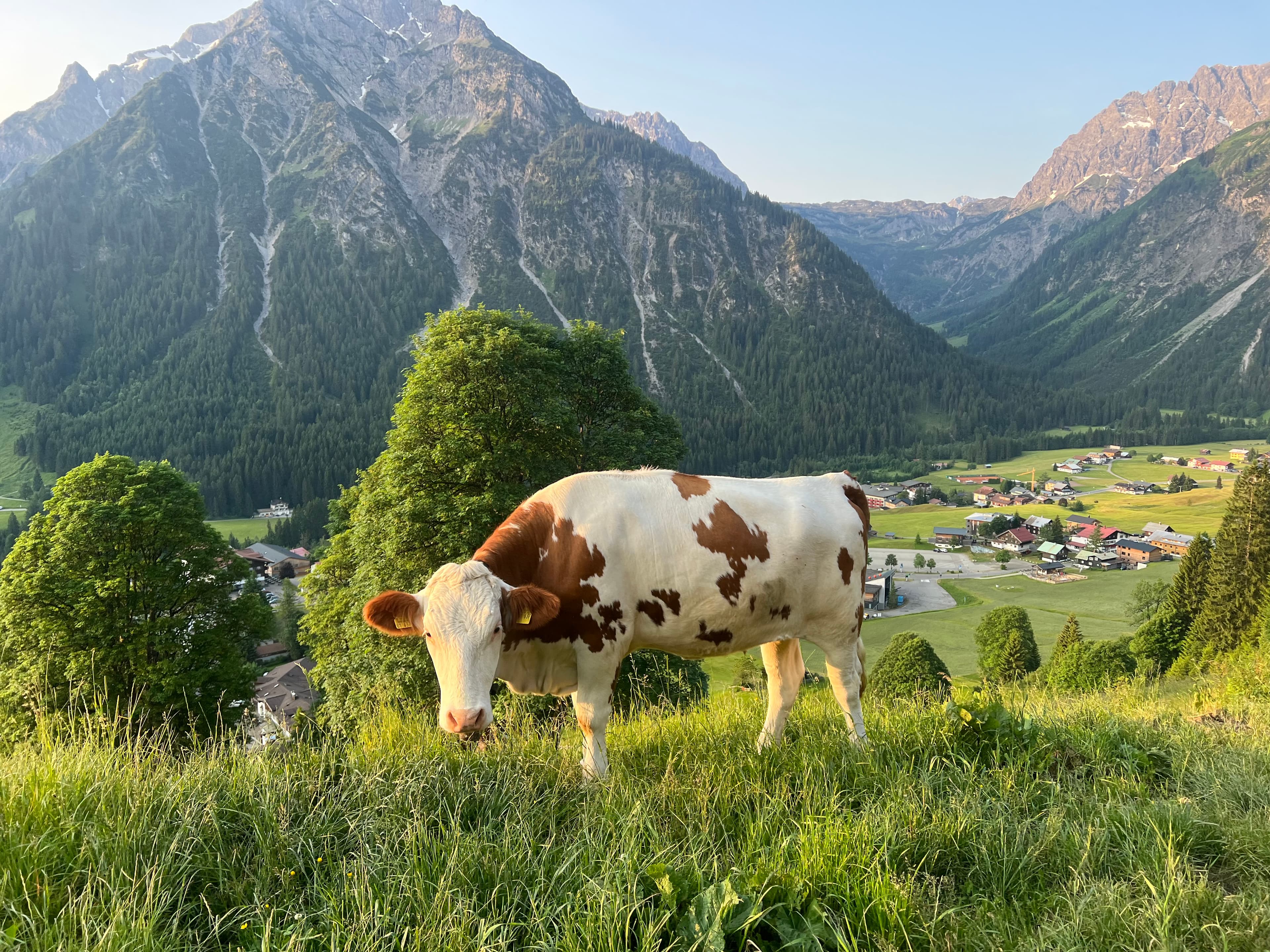 Kleinwalsertal, Austria — June 2023