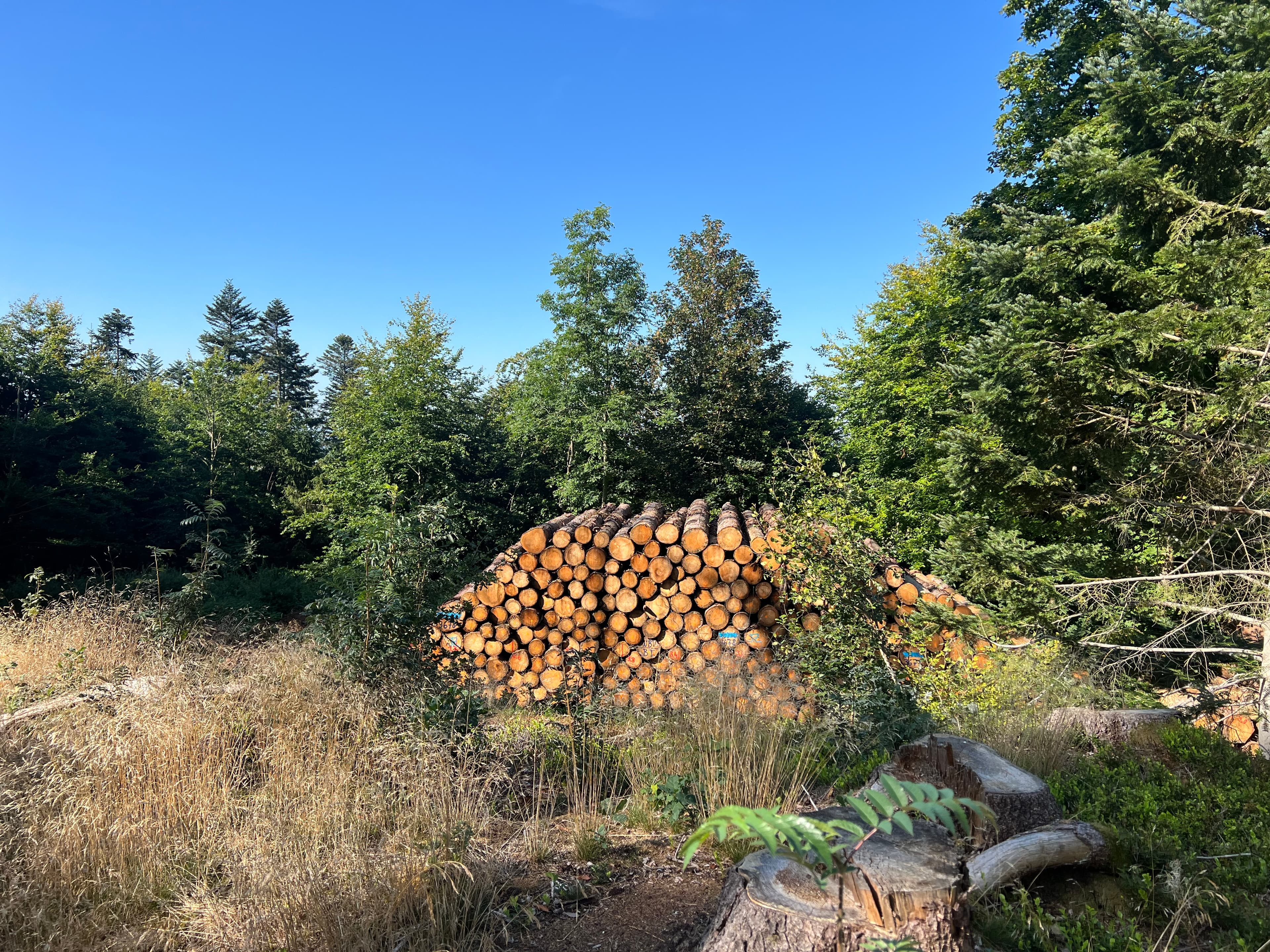 Goldkronach, Germany — August 2023