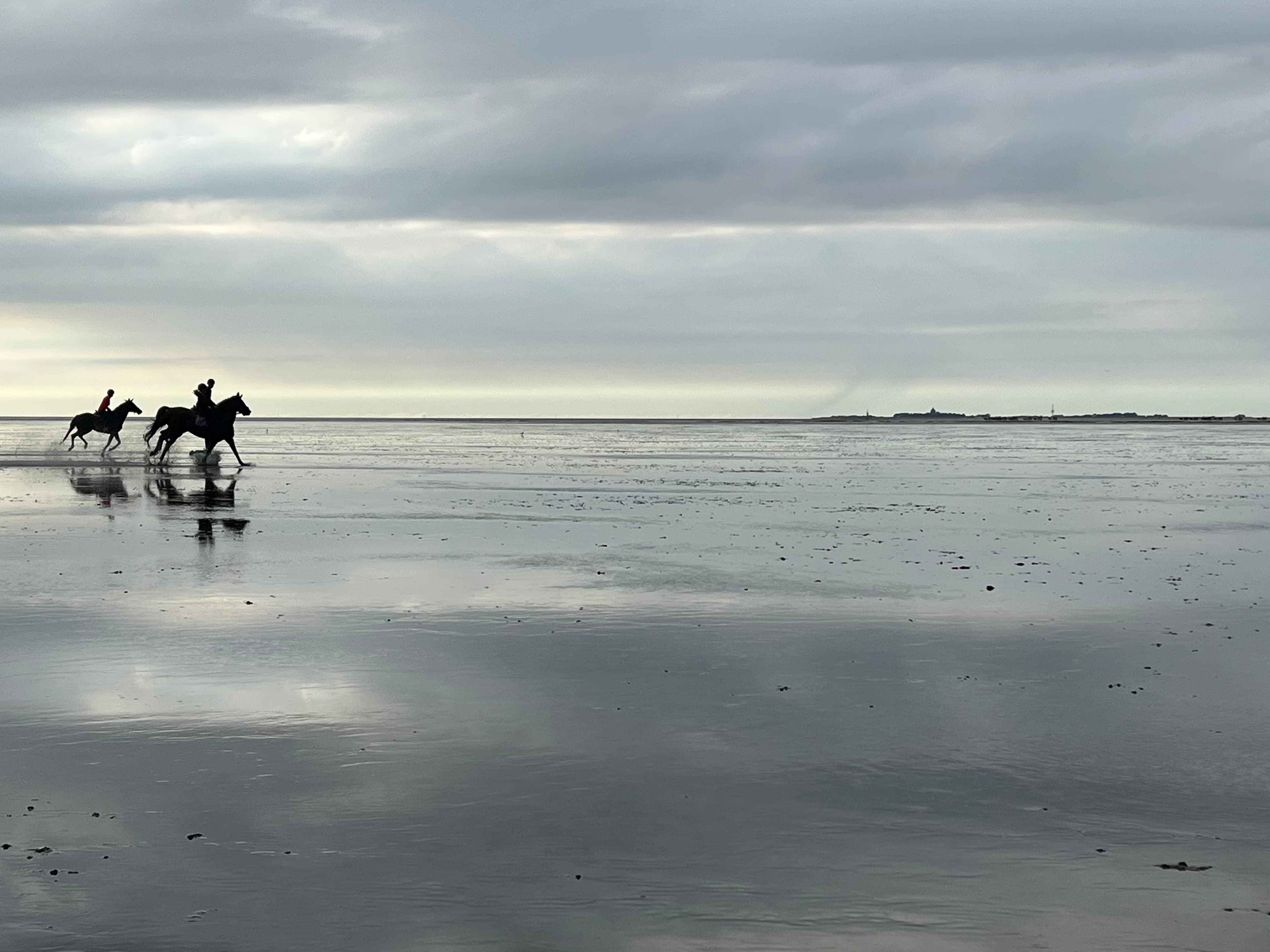 Wadden Sea, Germany — August 2023