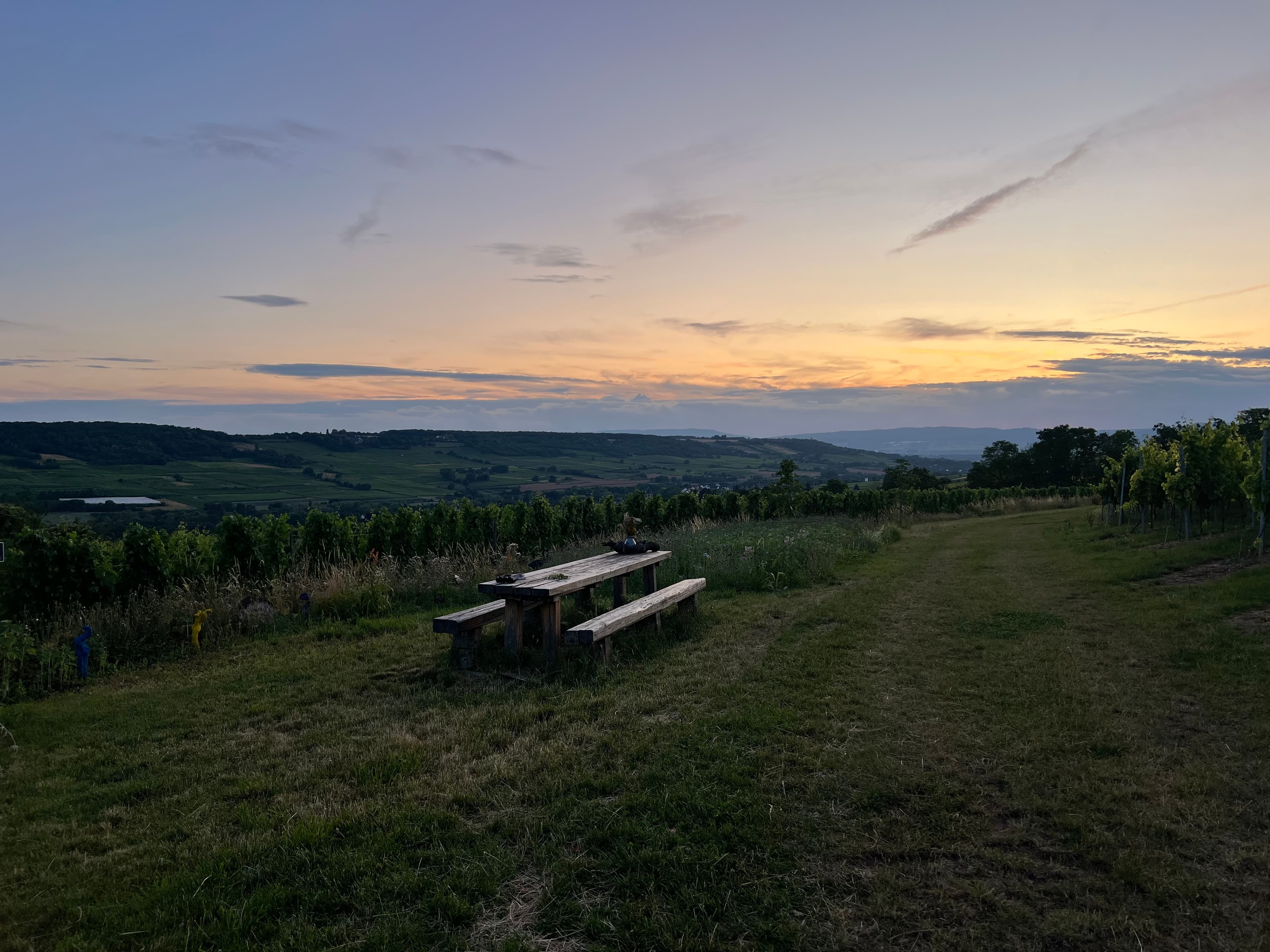 Schwabenheim an der Selz, Germany — June 2025